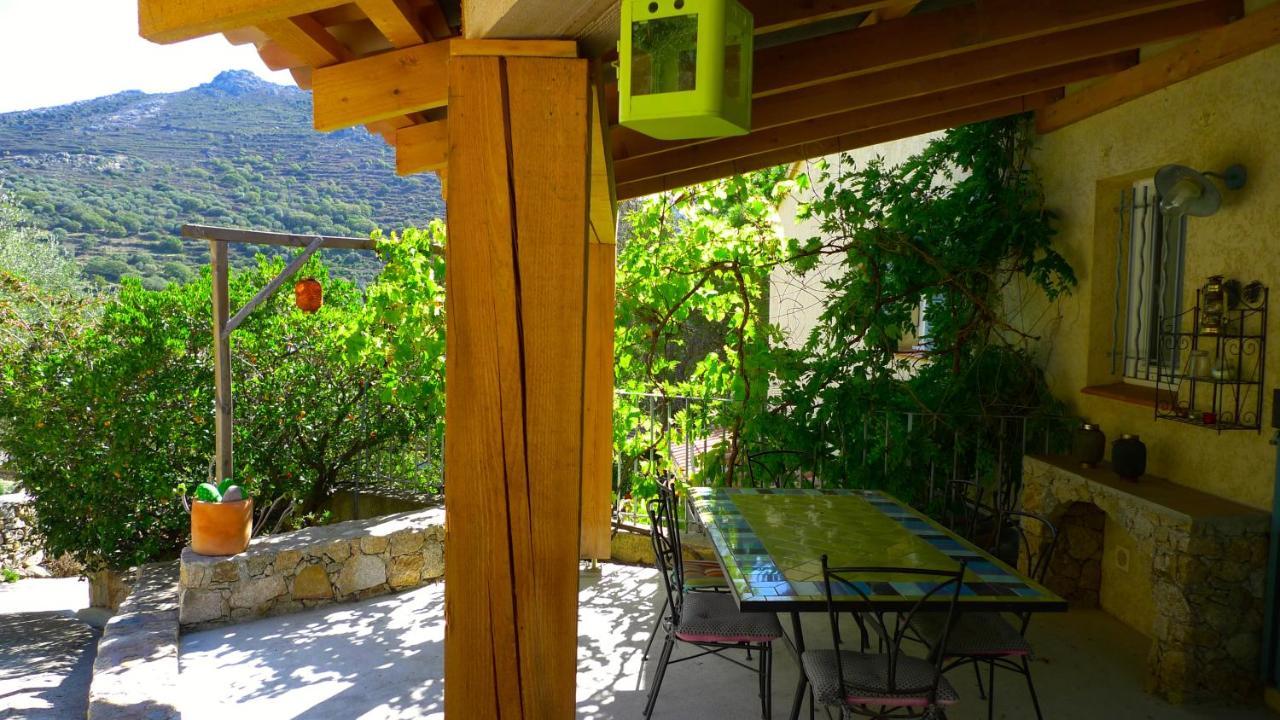 A Chiosella Bed & Breakfast Corbara Luaran gambar