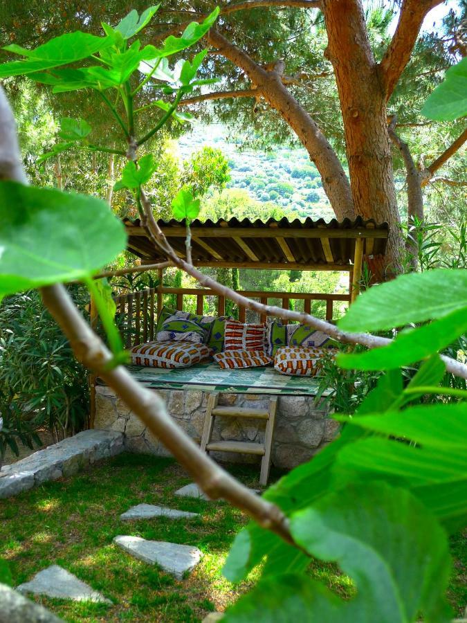 A Chiosella Bed & Breakfast Corbara Luaran gambar